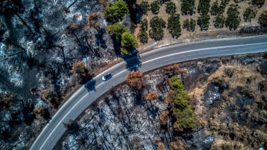 İnsansız hava aracıyla yanmış ormanların kuş bakışı görüntüsü. yanmış ağaçlar
