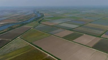 Yunanistan 'ın Xalastra kentindeki pirinç tarlasının havadan görünüşü