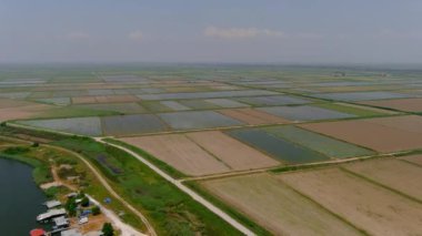 Yunanistan 'ın Xalastra kentindeki pirinç tarlasının havadan görünüşü