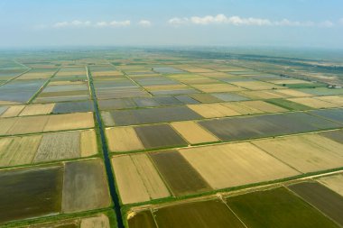 Yunanistan 'ın Xalastra kentindeki pirinç tarlasının havadan görünüşü