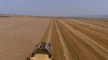 Buğday tarlasını hasat etmek için biçme makinesi. Kuzey Yunanistan 'daki altın olgun buğday tarlasını hasat eden hasat makinesini birleştirin