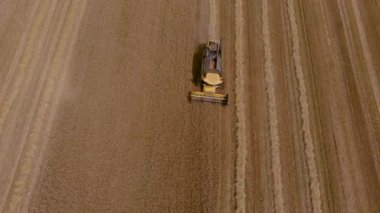 Buğday tarlasını hasat etmek için biçme makinesi. Kuzey Yunanistan 'daki altın olgun buğday tarlasını hasat eden hasat makinesini birleştirin