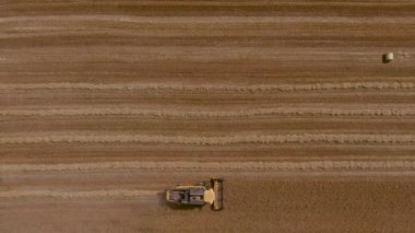 Buğday tarlasını hasat etmek için biçme makinesi. Kuzey Yunanistan 'daki altın olgun buğday tarlasını hasat eden hasat makinesini birleştirin