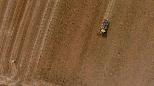 Colheitadeira Máquina Para Colher Trabalho Campo Trigo Combine Harvester Agricultura — Vídeo de Stock