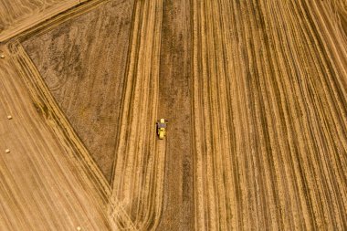 Buğday tarlasını hasat etmek için biçme makinesi. Kuzey Yunanistan 'daki altın olgun buğday tarlasını hasat eden hasat makinesini birleştirin