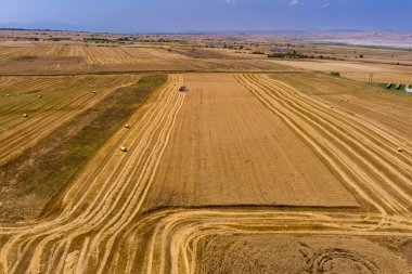 Buğday tarlasını hasat etmek için biçme makinesi. Kuzey Yunanistan 'daki altın olgun buğday tarlasını hasat eden hasat makinesini birleştirin