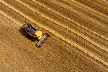 Buğday tarlasını hasat etmek için biçme makinesi. Kuzey Yunanistan 'daki altın olgun buğday tarlasını hasat eden hasat makinesini birleştirin