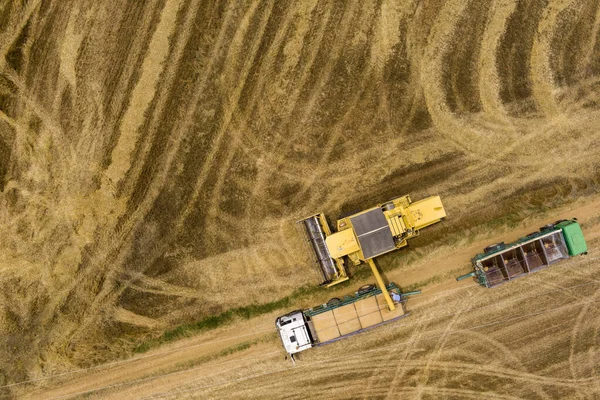 밀밭을 수확하기 압축기 그리스 북부에서 밀밭을 수확하는 기계를 결합시키는 — 스톡 사진