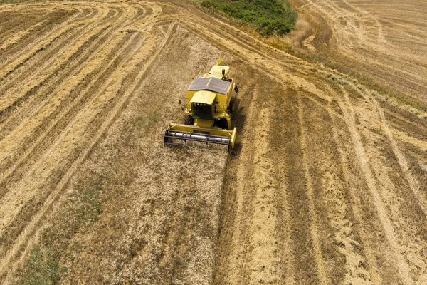 小麦フィールド作業を収穫するための収穫機 ギリシャ北部で黄金の熟したコムギ畑を収穫する収穫機を組み合わせる — ストック写真
