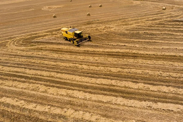 Harvester Machine Harvest Wheat Field Working Combine Harvester Agriculture Machine — Stock Photo, Image