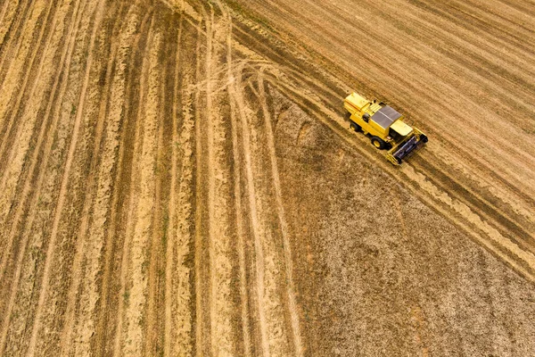 Збір Урожаю Пшеничного Поля Комбінована Сільськогосподарська Машина Збирає Золоте Дозріле — стокове фото