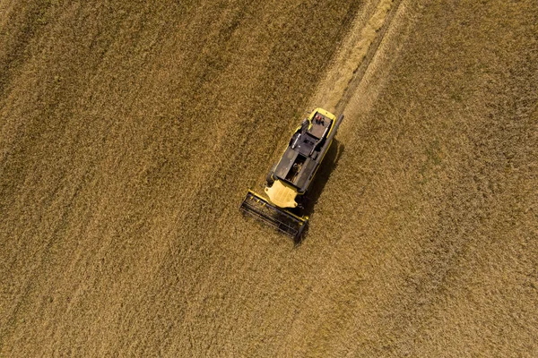 Машина Сбора Урожая Пшеничного Поля Работает Сельскохозяйственные Комбайны Собирающие Пшеничное — стоковое фото