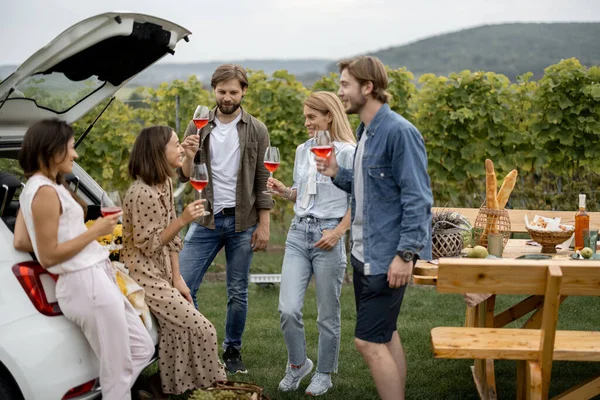 Друзья дегустируют вино во время пикника возле виноградников — стоковое фото