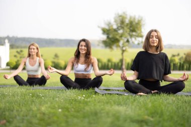 Kızlar çayırda spor minderlerinde yoga yapıyor.