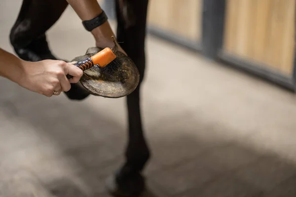 Reiter bürstet Hufeisen auf Huf auf Pferd — Stockfoto