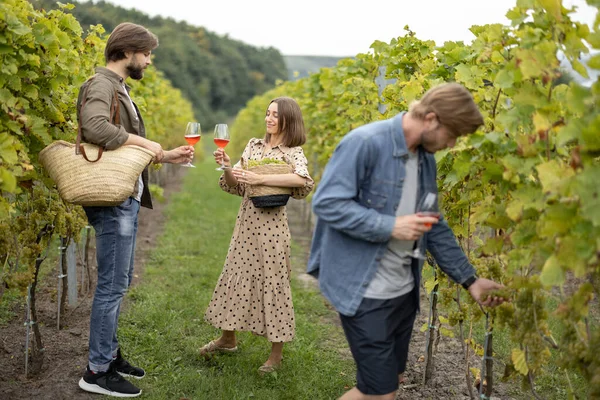 Vrienden proeven wijn in de buurt van wijngaarden op het platteland — Stockfoto