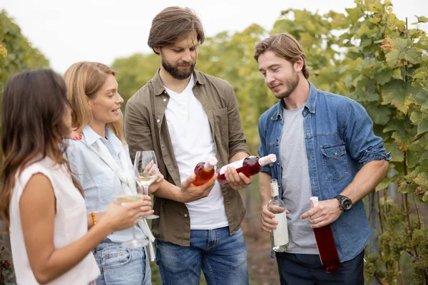 Друзья дегустируют вино возле виноградников в сельской местности — стоковое фото