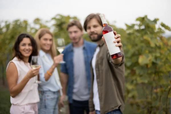 Amigos degustando vinho perto de vinhas no campo — Fotografia de Stock