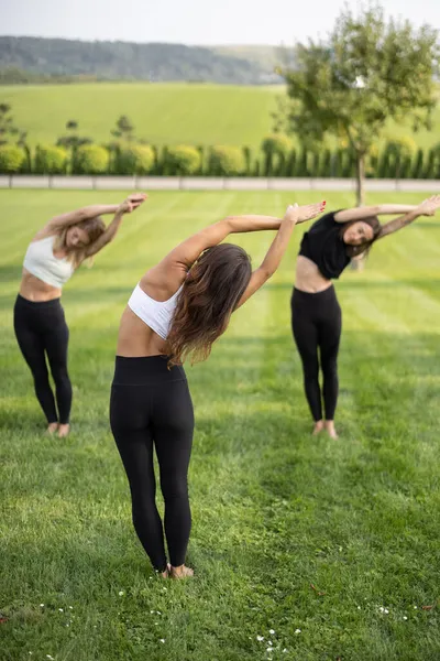 Dívky cvičí jógu na fitness rohožích na louce — Stock fotografie