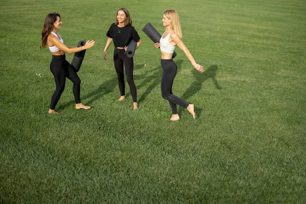 Girls with fitness mats bumping fists on meadow — Stock Photo, Image