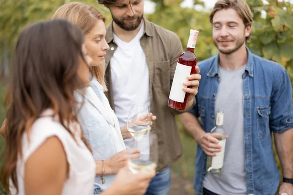 Przyjaciele degustacja wina w pobliżu winnic na wsi — Zdjęcie stockowe