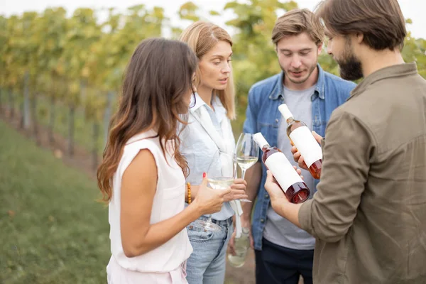 Друзья дегустируют вино возле виноградников в сельской местности — стоковое фото