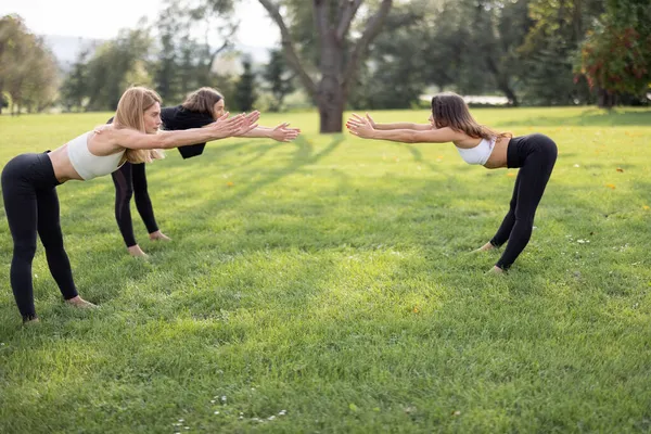 Chicas practicando yoga en colchonetas de fitness en el prado — Foto de Stock