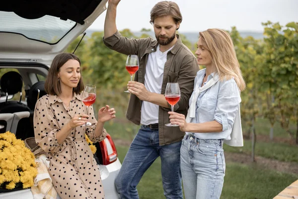 Vänner som provsmakar vin under picknick nära vingårdar — Stockfoto