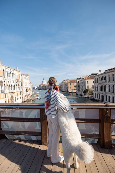 带着狗在意大利威尼斯旅行的女人 — 图库照片