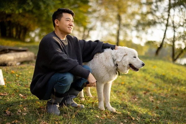 Hombre acariciar perro y mirar hacia otro lado en la naturaleza en otoño —  Fotos de Stock