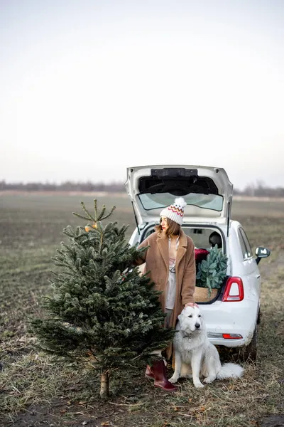 Noel ağacı olan bir kadın ve doğada arabanın yanında bir köpek. — Stok fotoğraf