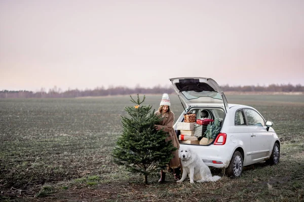 Mulher com árvore de Natal e cão perto de carro na natureza — Fotografia de Stock