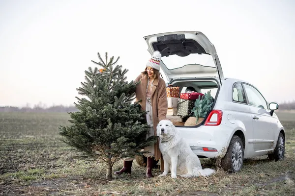 在大自然的车上，有圣诞树和狗的女人 — 图库照片