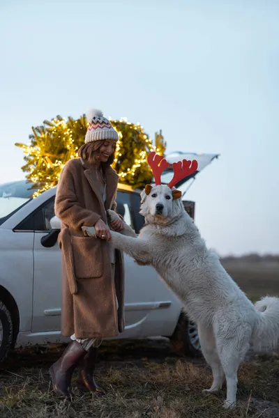크리스마스 트리가 있는 차 옆에 개가 있는 여성 — 스톡 사진