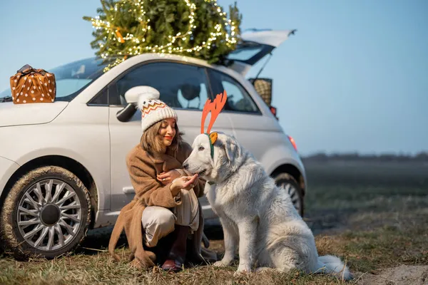 Mulher com cão perto de carro com árvore de Natal na natureza — Fotografia de Stock