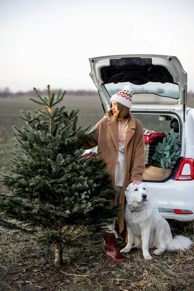 Mulher com árvore de Natal e cão perto de carro na natureza — Fotografia de Stock