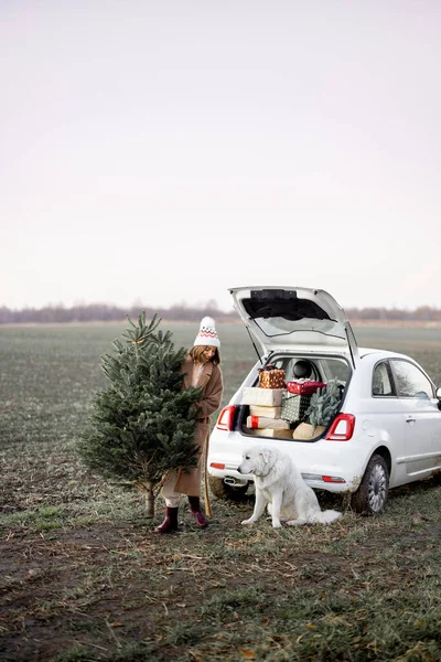 Mulher com árvore de Natal e cão perto de carro na natureza — Fotografia de Stock