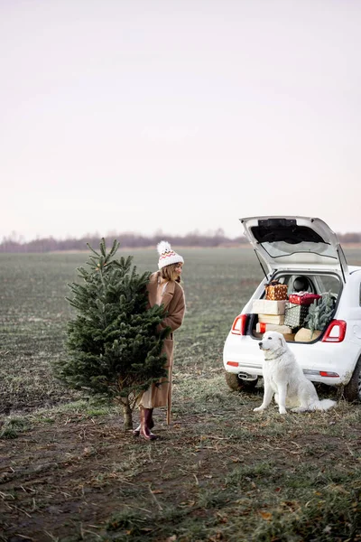 Mulher com árvore de Natal e cão perto de carro na natureza — Fotografia de Stock