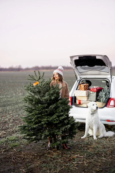 Femme avec arbre de Noël et chien près de la voiture sur la nature — Photo