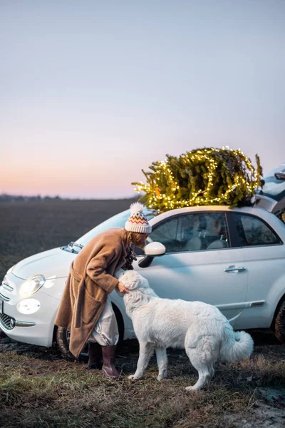 Mulher com cão perto de carro com árvore de Natal na natureza — Fotografia de Stock