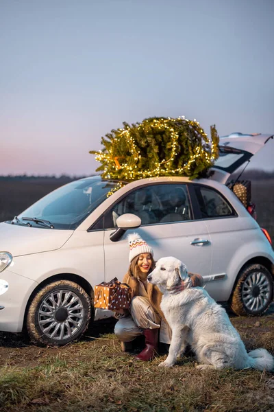 Mulher com cão perto de carro com árvore de Natal na natureza — Fotografia de Stock