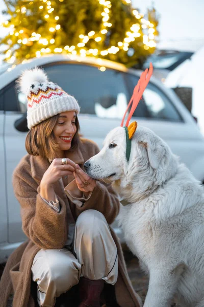 Žena se psem v blízkosti auta s vánoční stromeček na přírodě — Stock fotografie