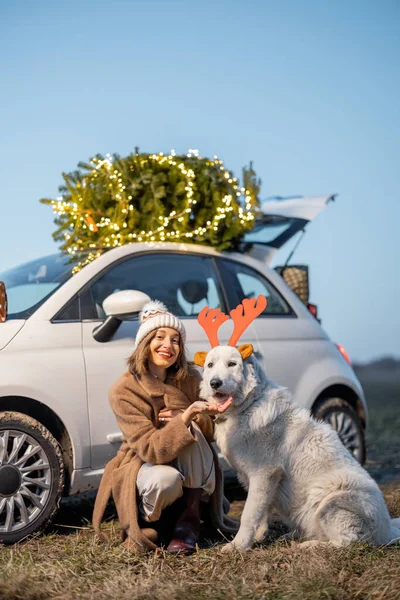 Mulher com cão perto de carro com árvore de Natal na natureza — Fotografia de Stock