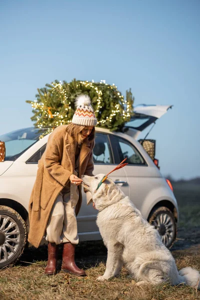 Mulher com cão perto de carro com árvore de Natal na natureza — Fotografia de Stock