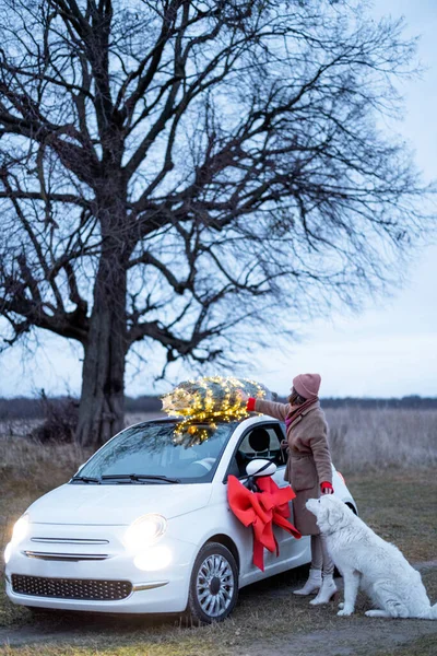 女人开车送圣诞树 — 图库照片