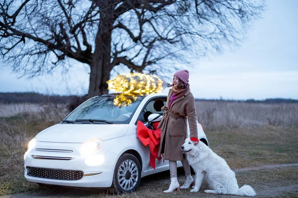 A nő autóval viszi a karácsonyfát. — Stock Fotó