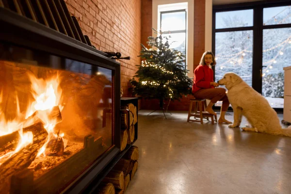 Mulher com cão em casa em umas férias de inverno — Fotografia de Stock