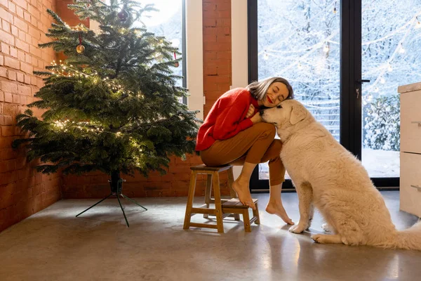 La mujer con el perro en casa en las vacaciones de invierno —  Fotos de Stock