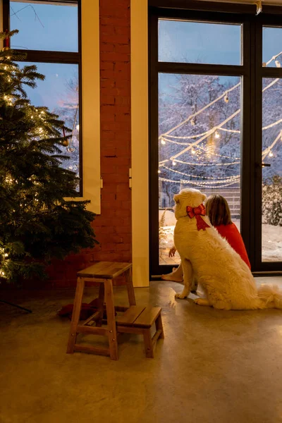Mulher com cão celebrando férias de inverno em casa — Fotografia de Stock