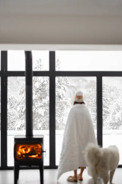 Woman with dog at home with burning fireplace during wintertime — Stock Photo, Image